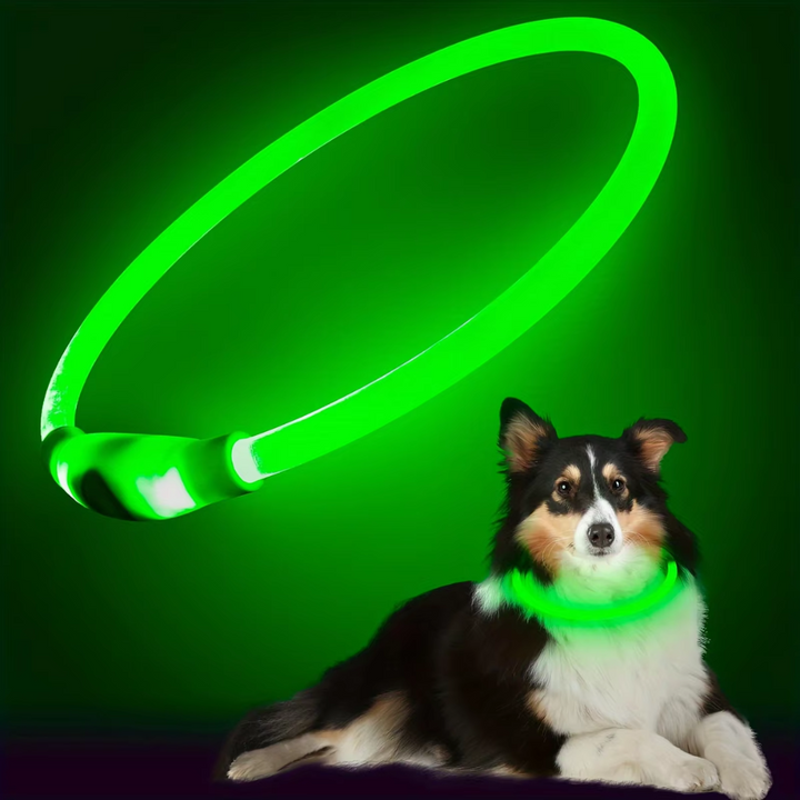 Hunde suffered necklace with usb-charging for increased visibility