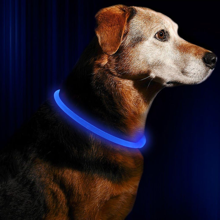 Hunde suffered necklace with usb-charging for increased visibility