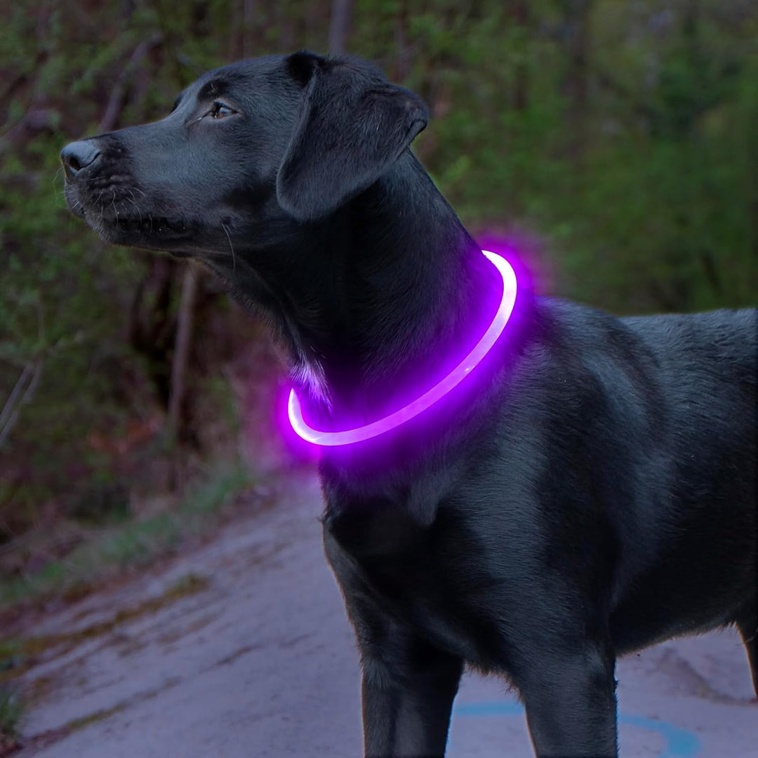 Hunde suffered necklace with usb-charging for increased visibility