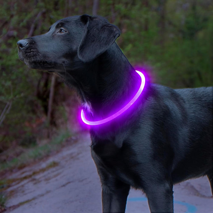 Hunde suffered necklace with usb-charging for increased visibility