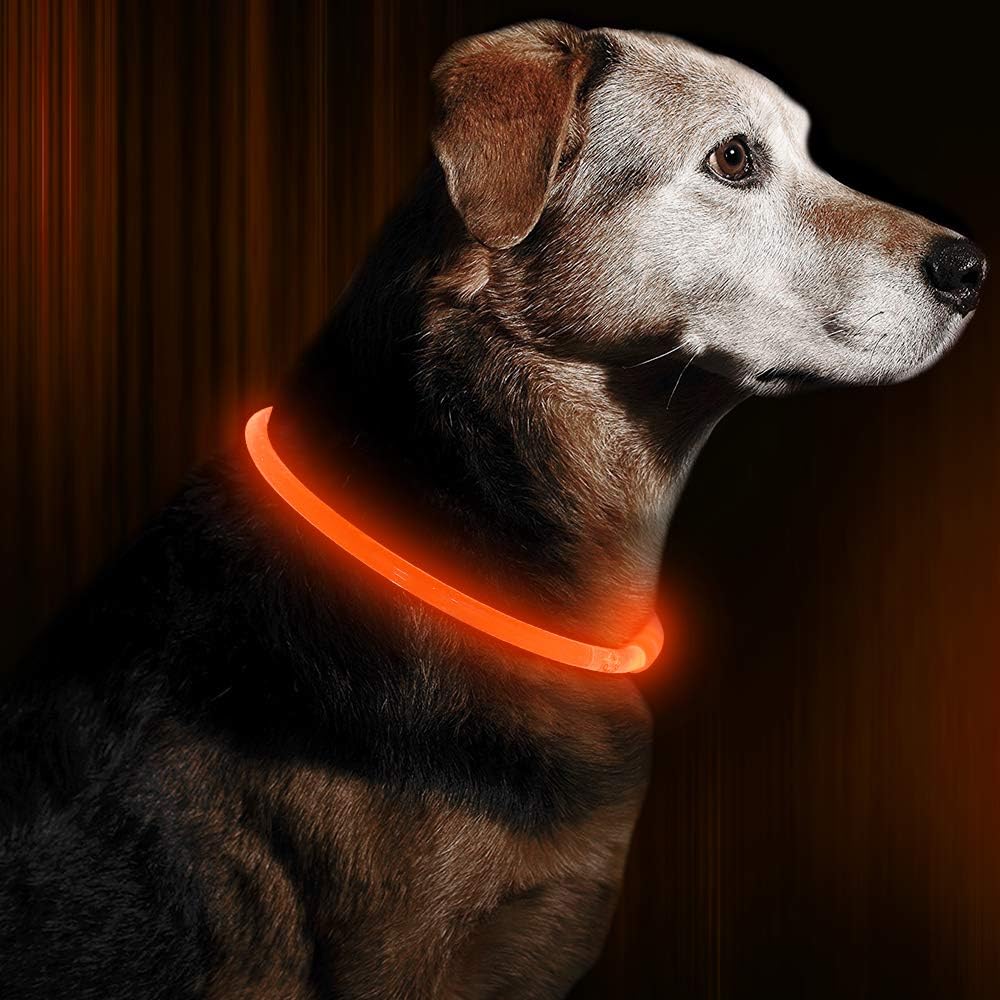 Hunde suffered necklace with usb-charging for increased visibility