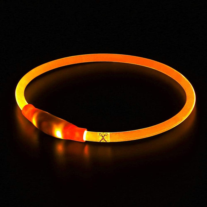 Hunde suffered necklace with usb-charging for increased visibility