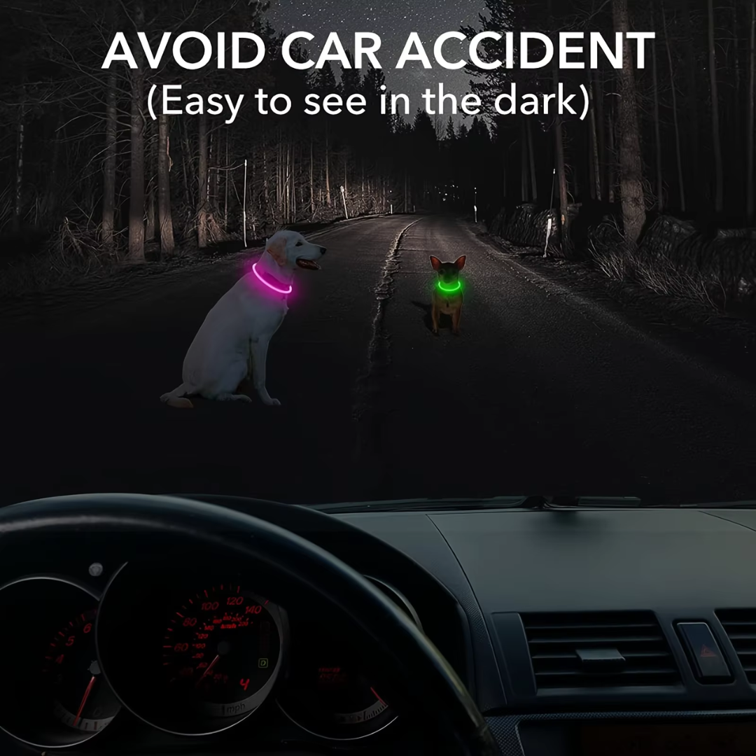Hunde suffered necklace with usb-charging for increased visibility