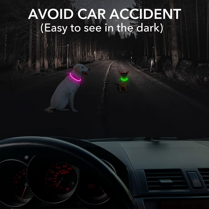 Hunde suffered necklace with usb-charging for increased visibility