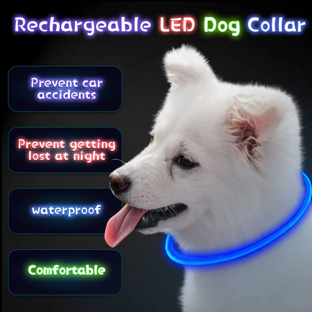 Hunde suffered necklace with usb-charging for increased visibility