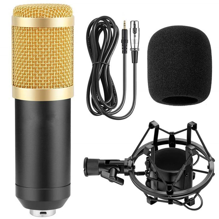 Professional Condenser Microphone Set for Studio Recording