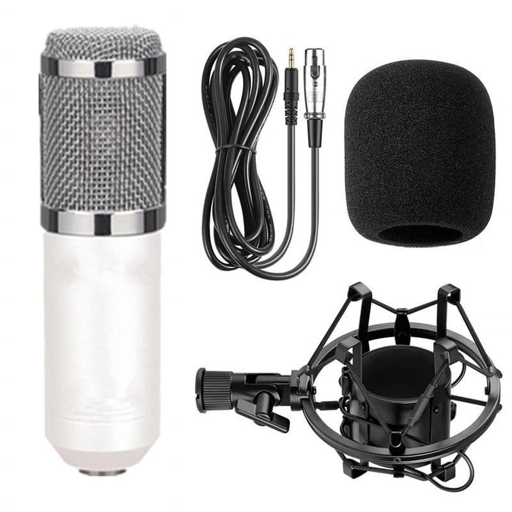 Professional Condenser Microphone Set for Studio Recording