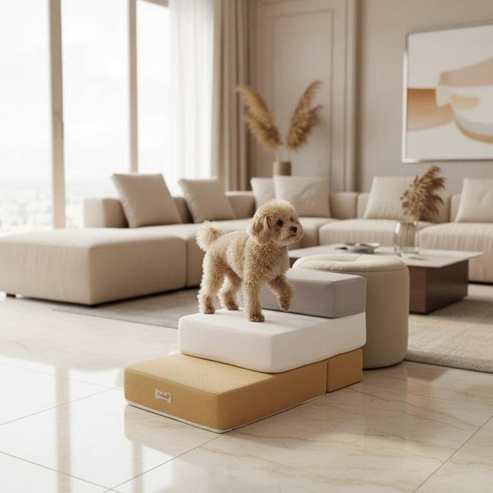 Robust hunde staircase for pet - secure access for couch &amp; bed