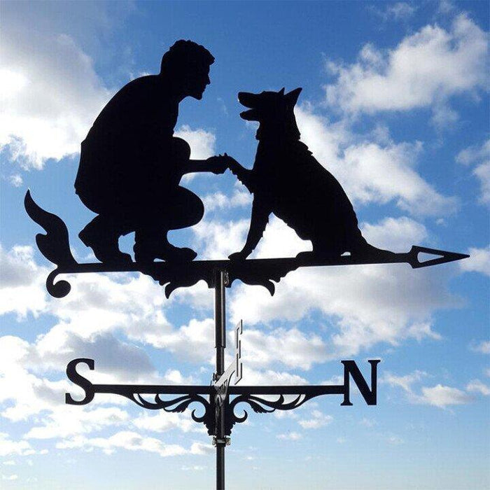 Garden Weather Vane: Unique Stainless Steel Wind Direction Indicator