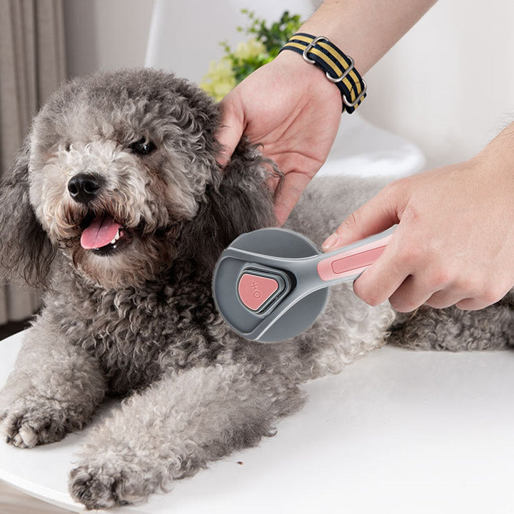 Self-Cleaning Pet Brush for a Tangle-Free Coat