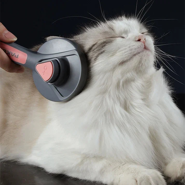 Self-Cleaning Pet Brush for a Tangle-Free Coat