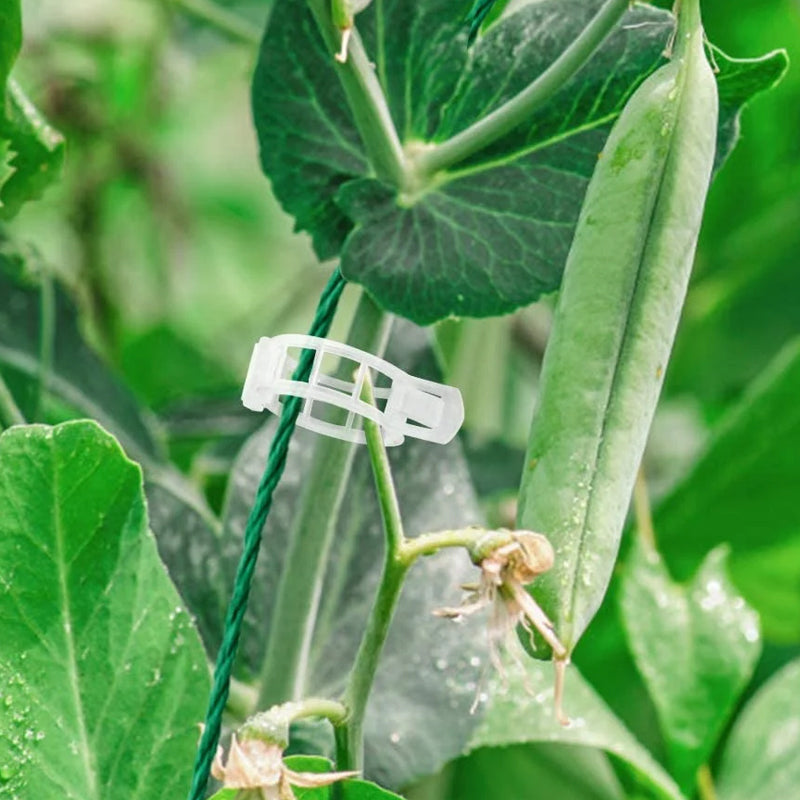 Plantestötteklips - Hard-wearing Clips for Planter