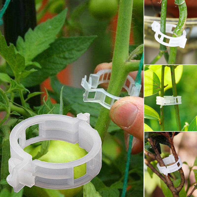 Plantestötteklips - Hard-wearing Clips for Planter