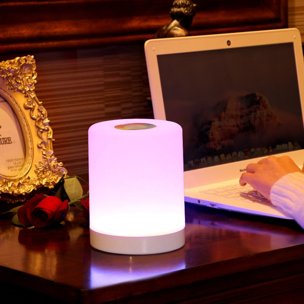 Sophisticated LED Night Light with Touch Control