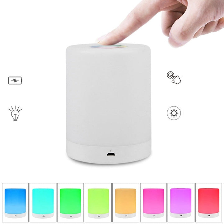 Sophisticated LED Night Light with Touch Control