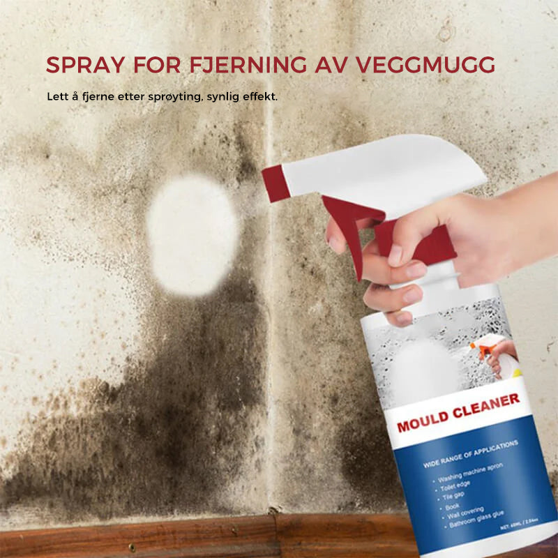 Mould Remover Spray with Active Chlorine for Bathroom and Kitchen