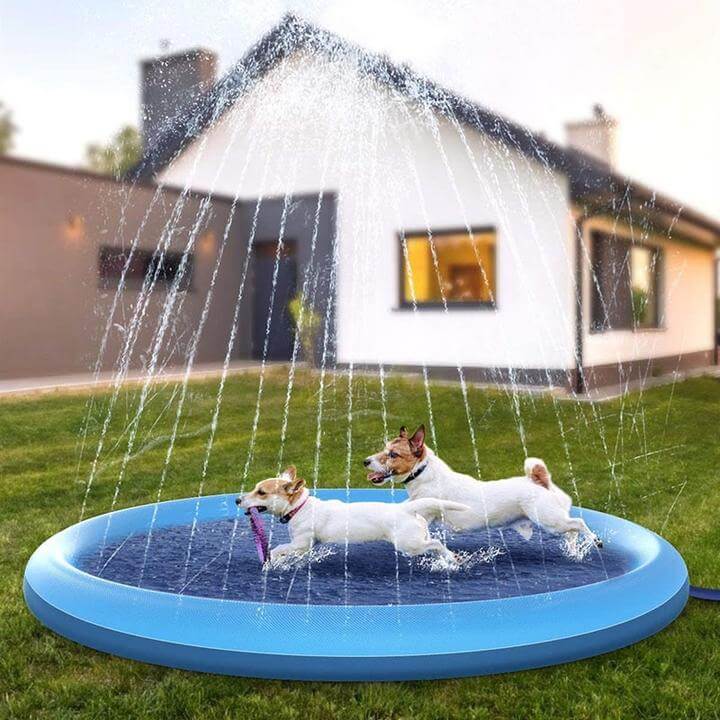 Hundesprinklerpute for hunder – Kjöl down and lek in sommervarmen!
