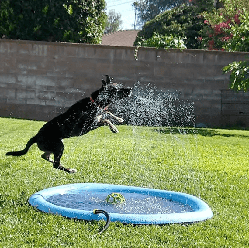 Hundesprinklerpute for hunder – Kjöl down and lek in sommervarmen!