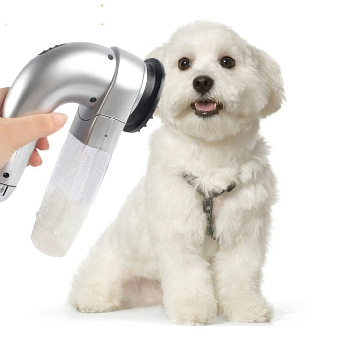 Effective Pet Hair Vacuum – Pet-Friendly Grooming