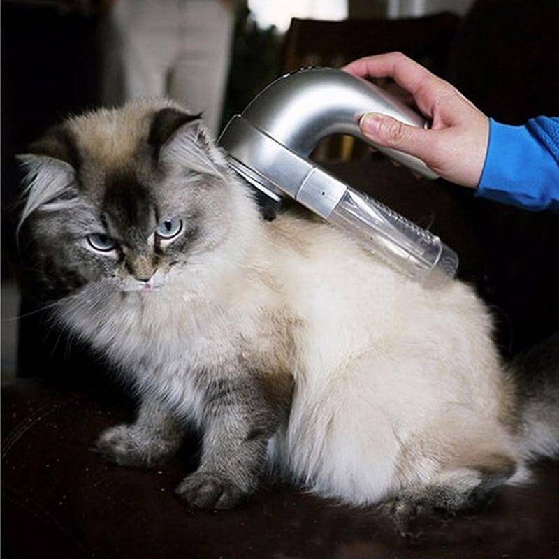Effective Pet Hair Vacuum – Pet-Friendly Grooming