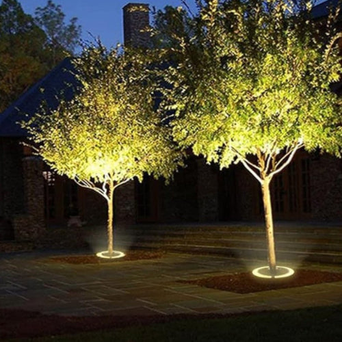 Outdoor Spotlights for Garden Lighting